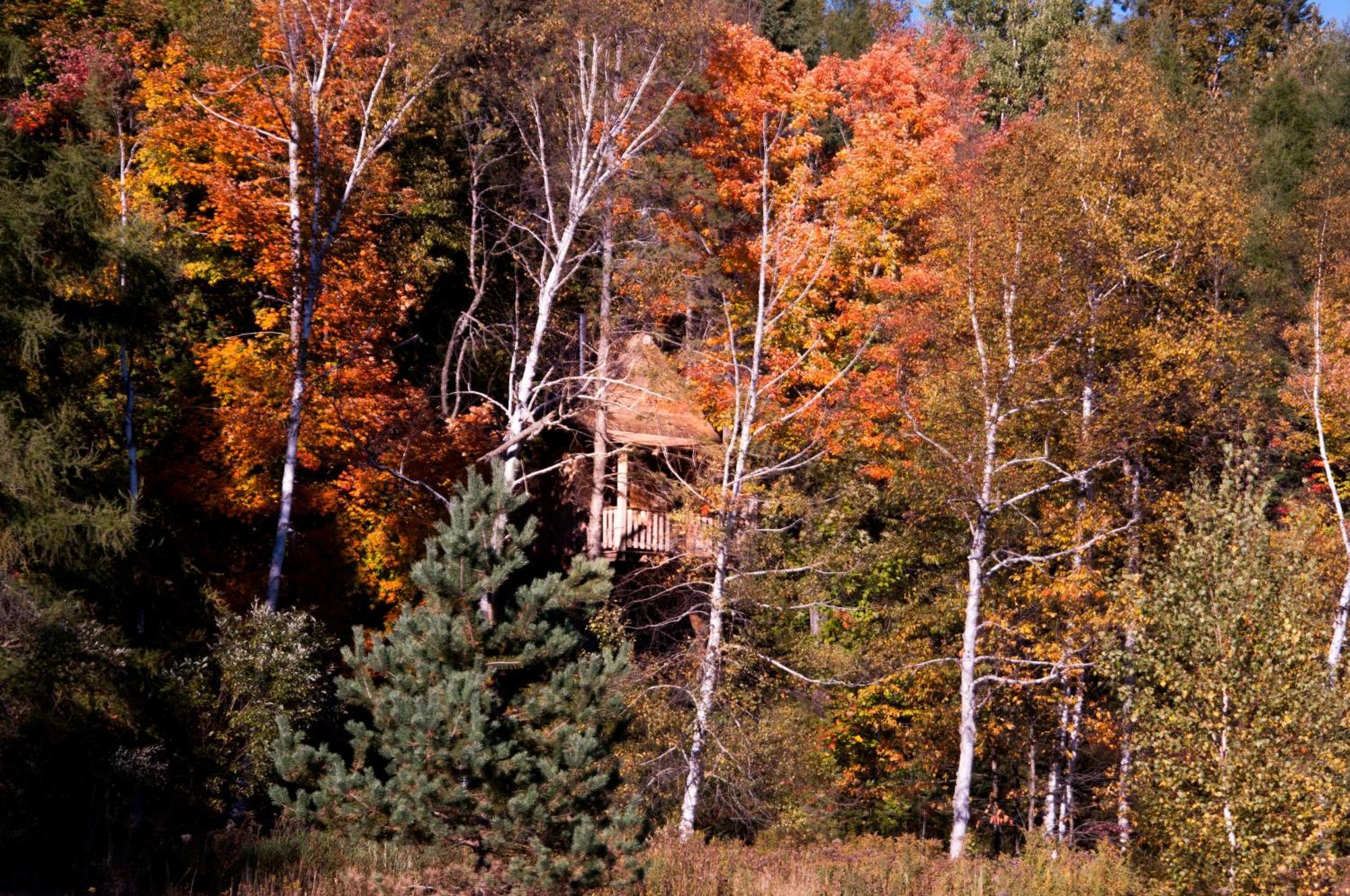 Les Cabanes Du Trappeur Wentworth-Nord Экстерьер фото