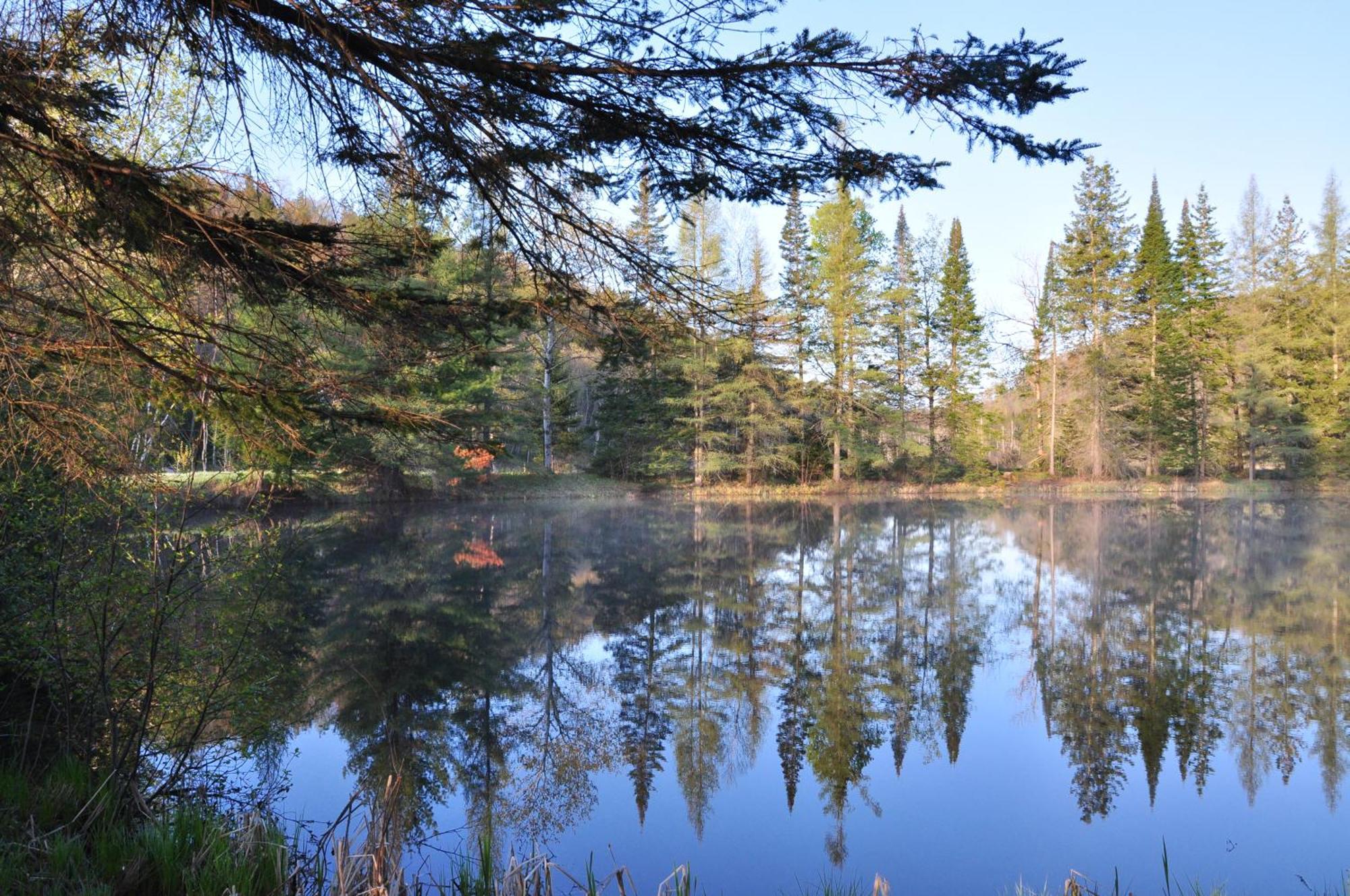 Les Cabanes Du Trappeur Wentworth-Nord Экстерьер фото