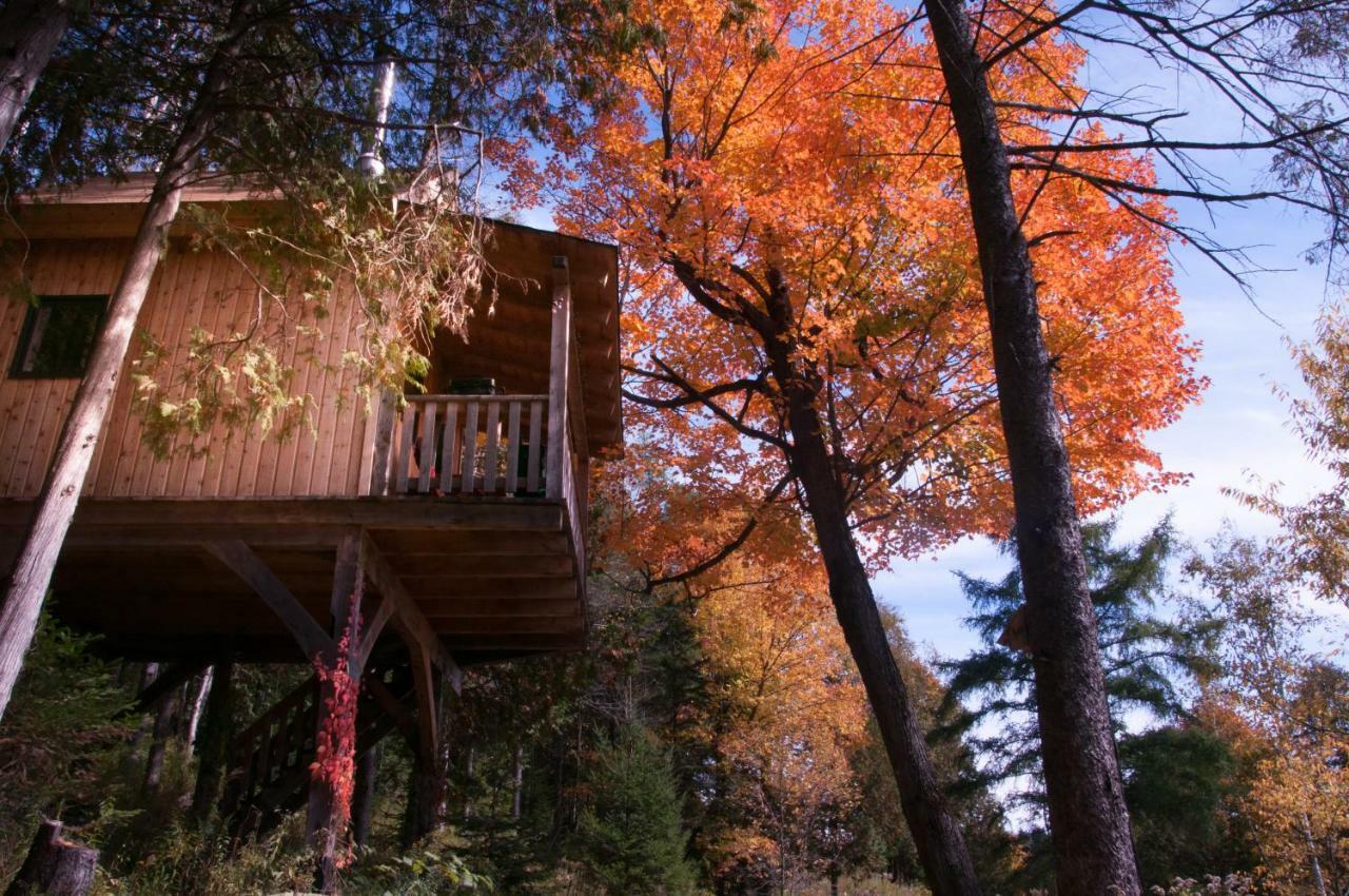 Les Cabanes Du Trappeur Wentworth-Nord Экстерьер фото